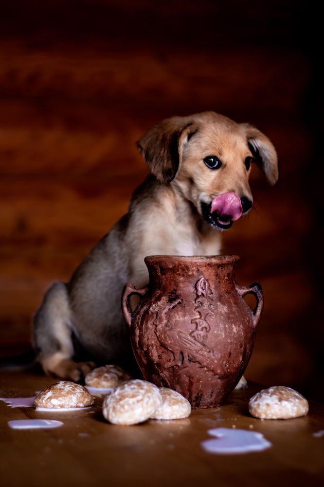 Photograph by Алёна Газукина