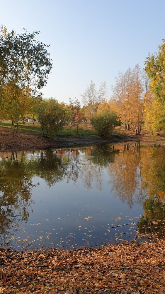 Фотография автора Ольга Меньшенина