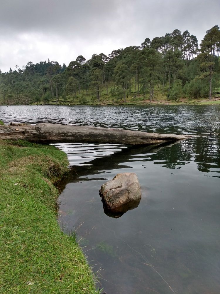 Photograph by José Luis Mendoza Machado