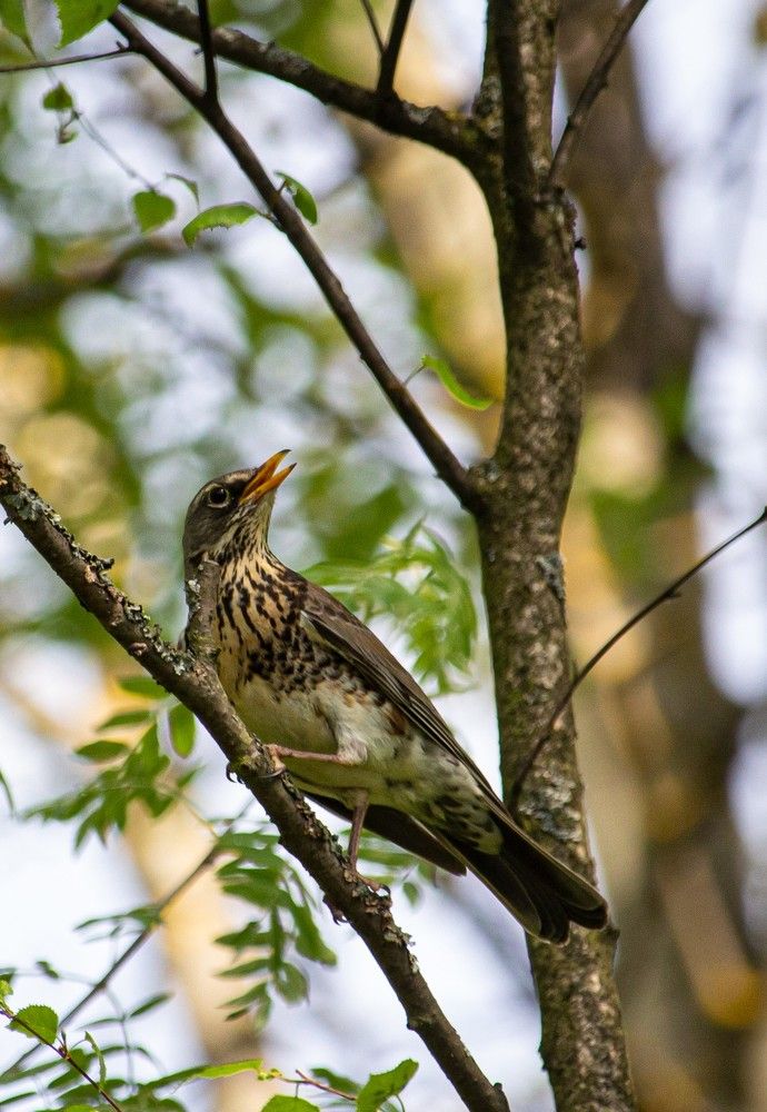 Photograph by Лев Постнов