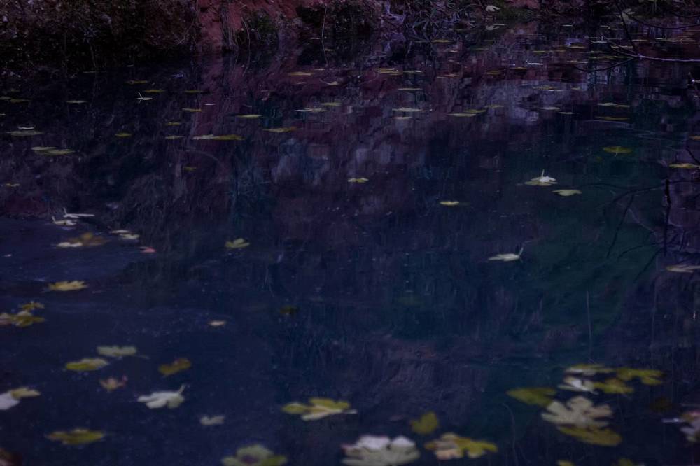 Small river in the city