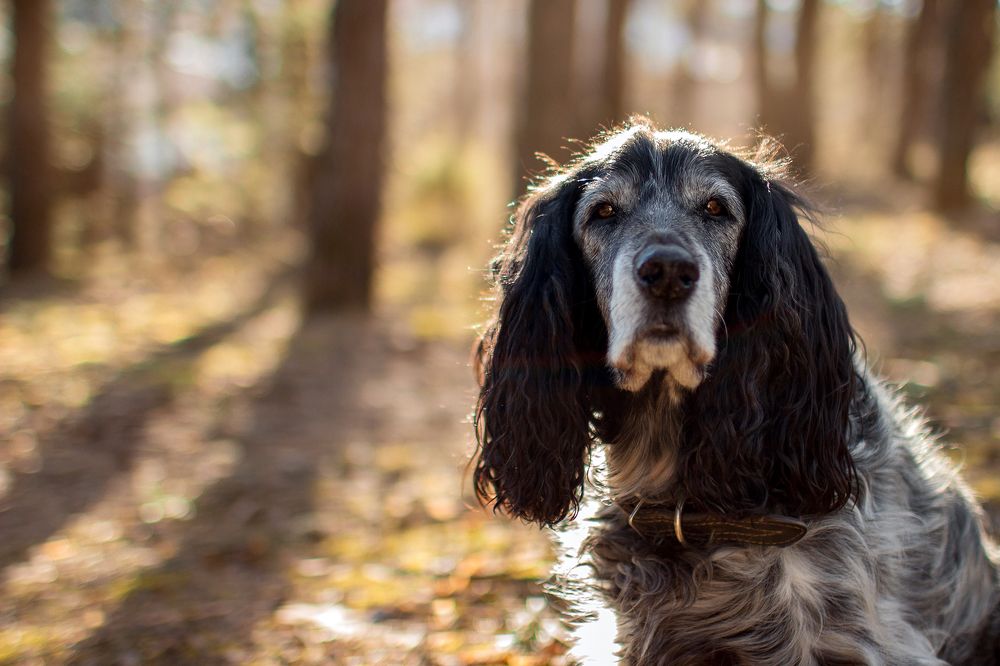 Photograph by Ольга Крестьянинова