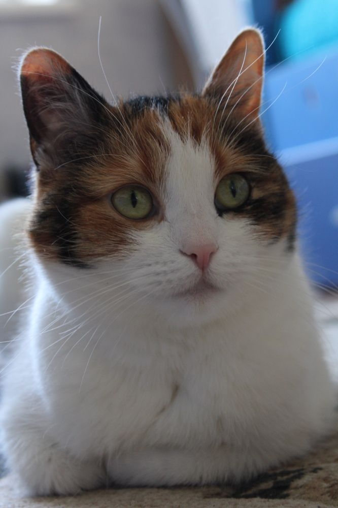 Photograph by Оксана Новосад