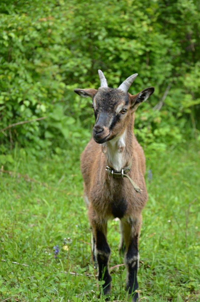 Photograph by Ольга Шевцова