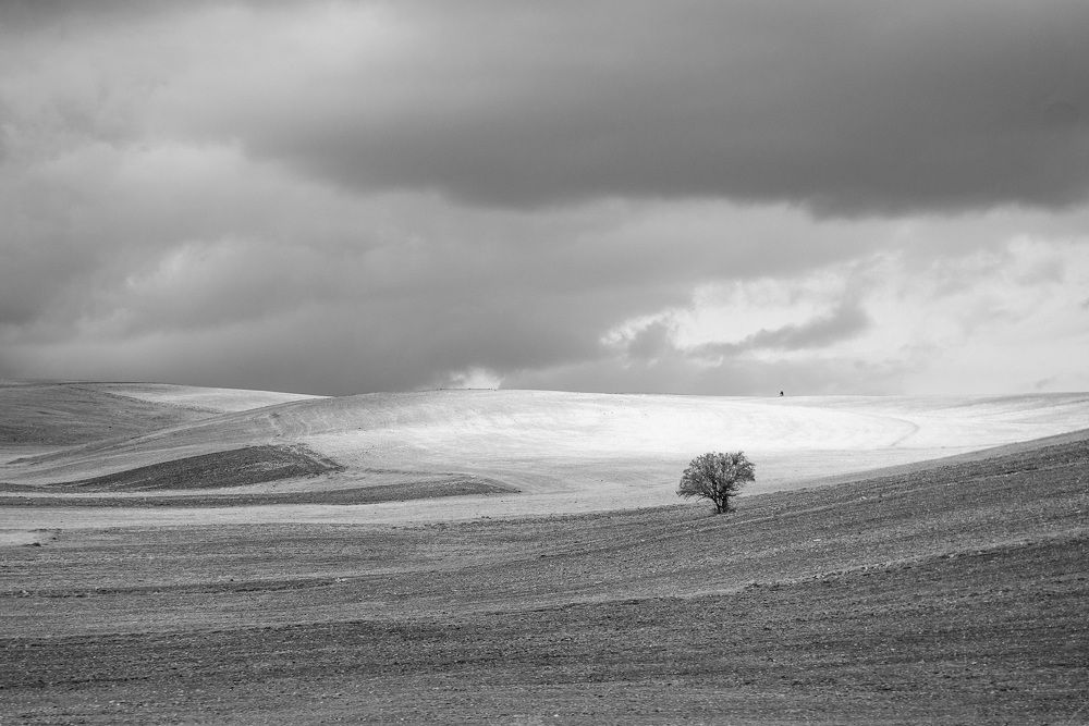 Photograph by ЕВГЕНИЙ РУДЕНКО