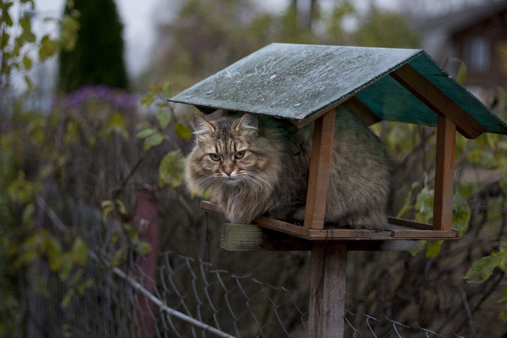 Photograph by Вера Голицына