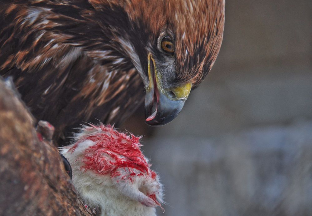 Photograph by Дмитрий Балатский