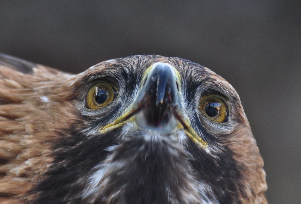 Photograph by Дмитрий Балатский