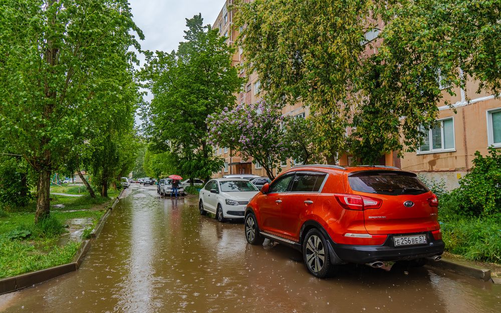 Фотография автора Николай Бологов