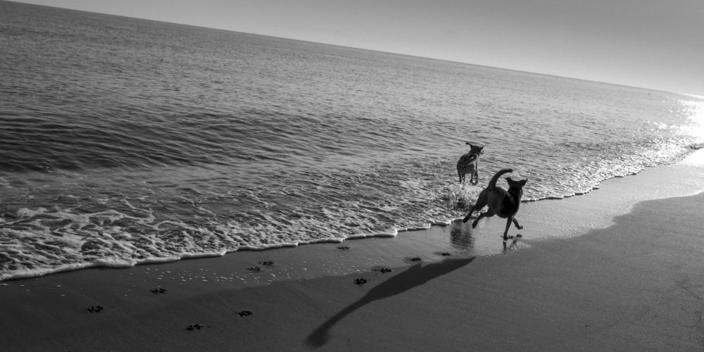 Photograph by Асхат Хафизов