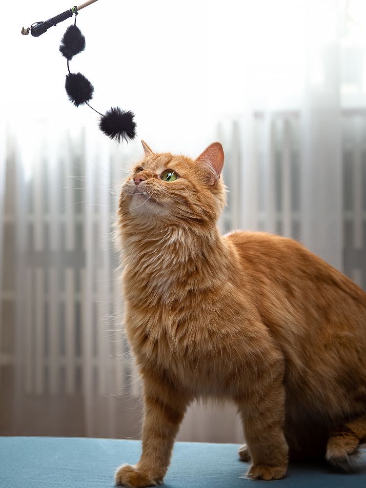 Photograph by Галина Полищук