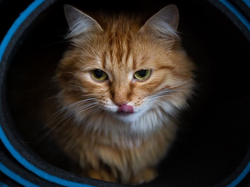 Photograph by Галина Полищук