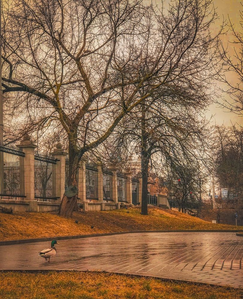 Photograph by Армен Егиян