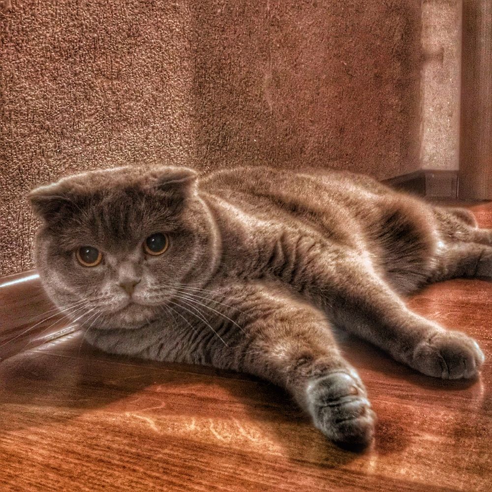 Photograph by Армен Егиян