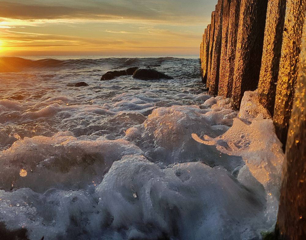 Photograph by Темницкая Дина