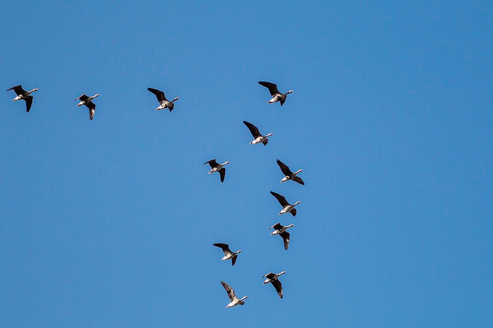 Фотография автора Максимов Алексей