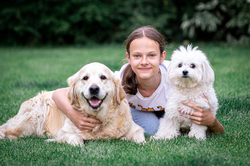 Три товарища