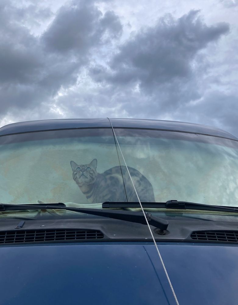 Photograph by Виктория Горельченко