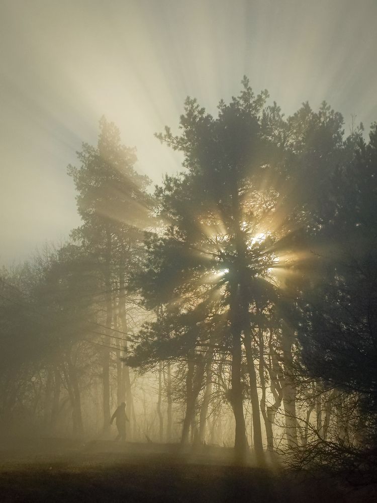 Photograph by Джафар Мехтиев