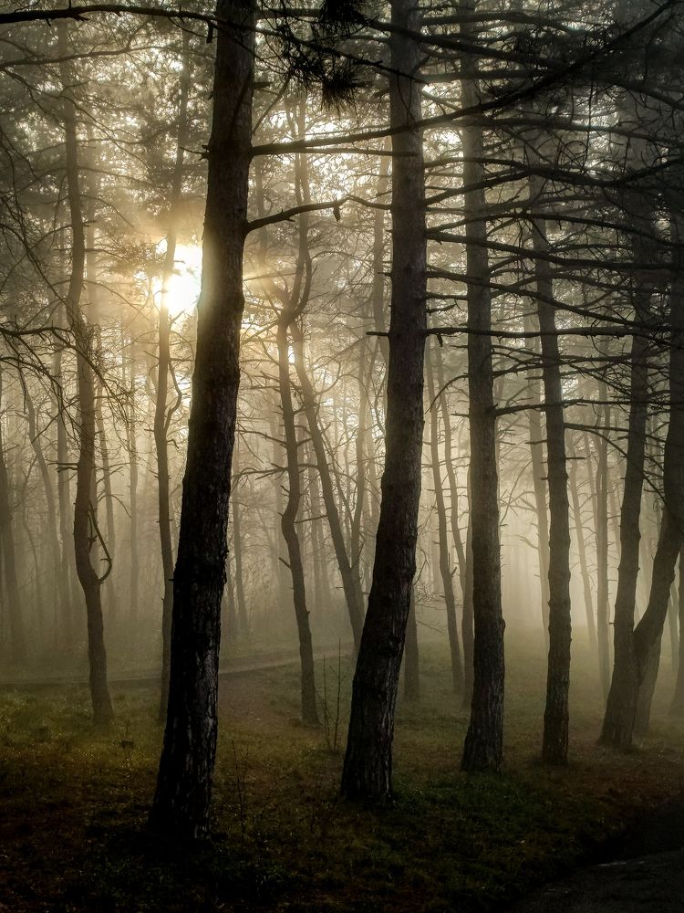 Photograph by Джафар Мехтиев