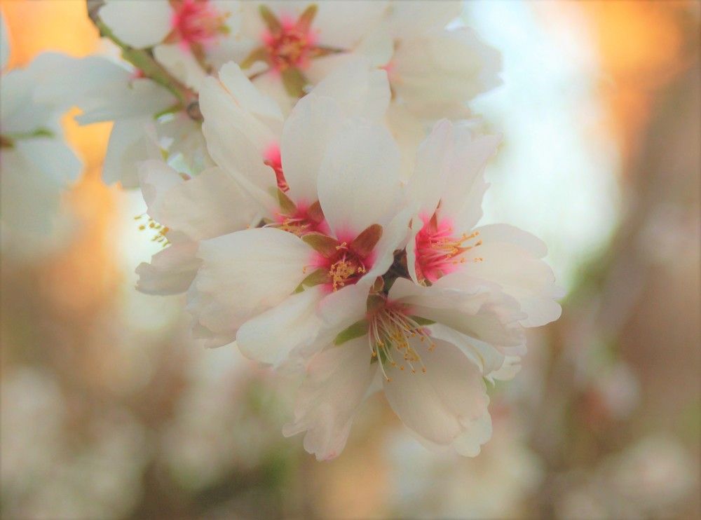 Фотография автора Ася Бабушкина