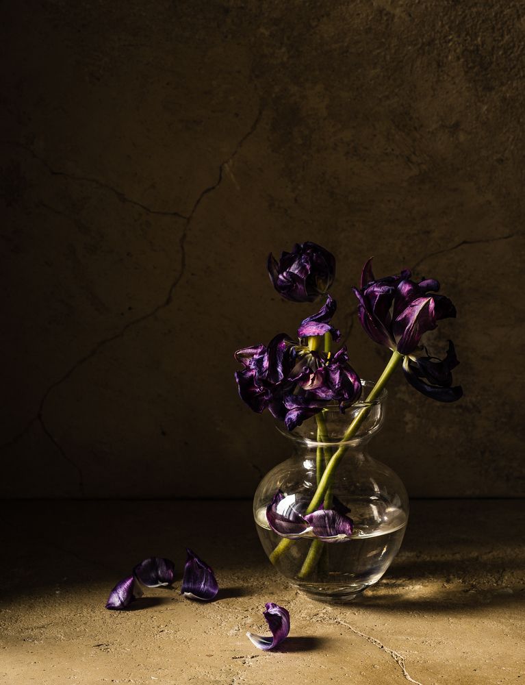Photograph by Марина Невская