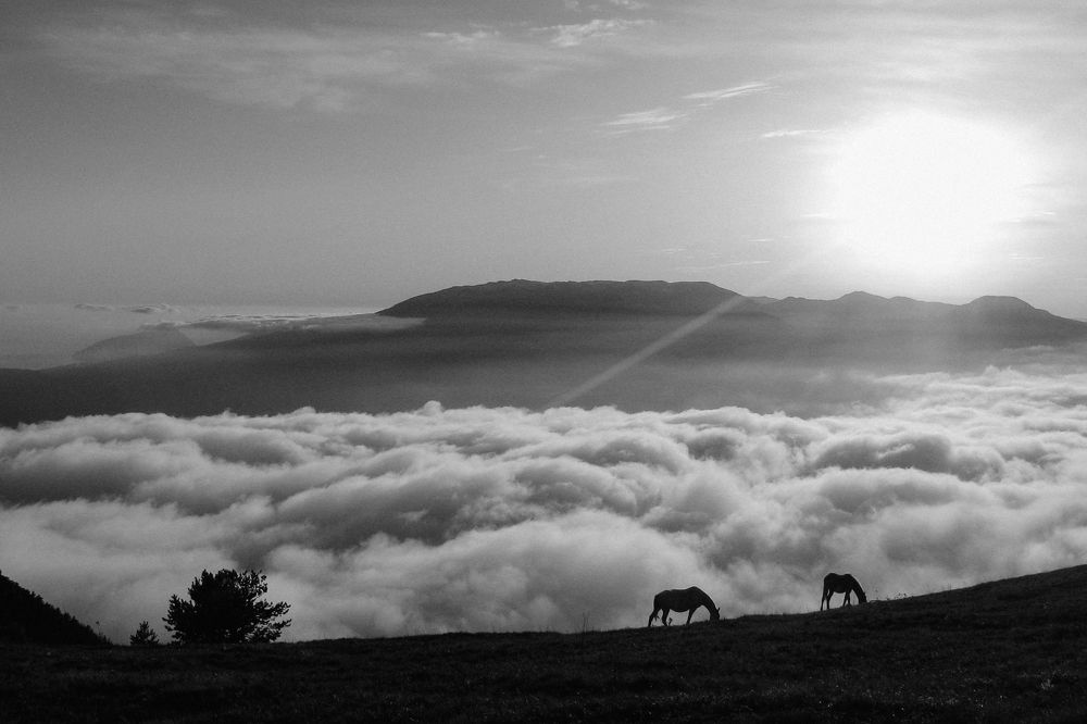 Photograph by Татьяна Цолина