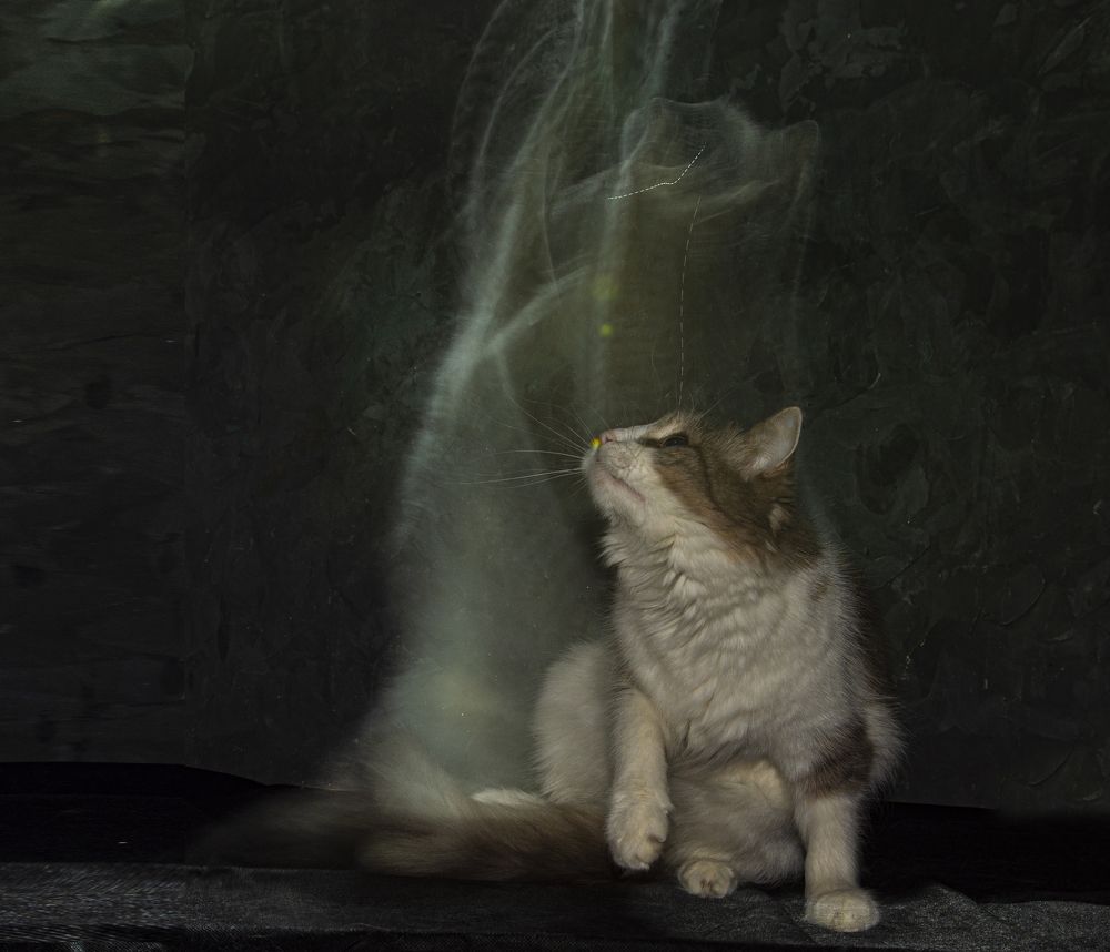 Photograph by Игорь Смирнов