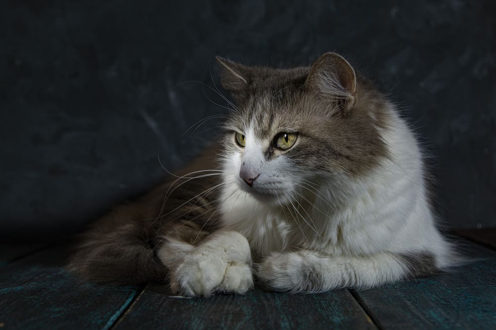 Photograph by Игорь Смирнов