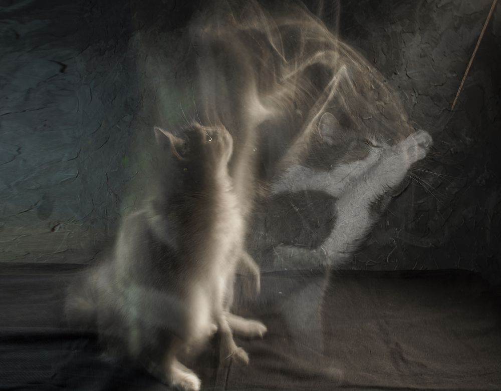 Photograph by Игорь Смирнов