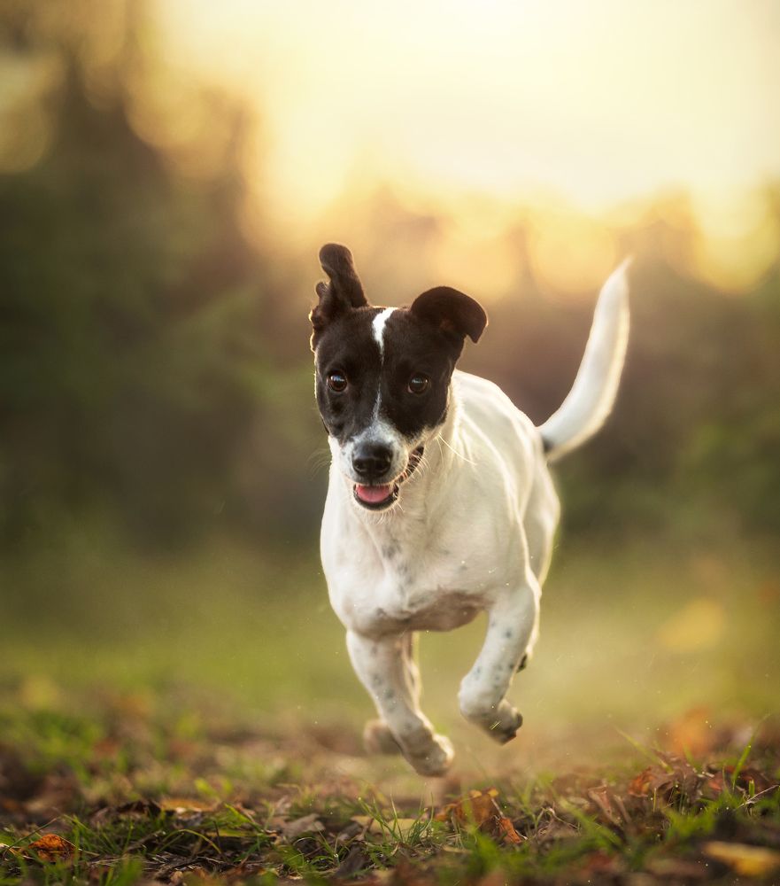 Photograph by Emanuel Manfrin