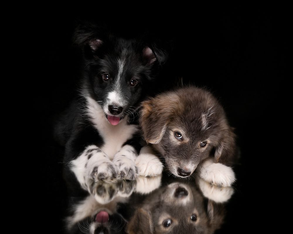 Фотография автора Татьяна Кам