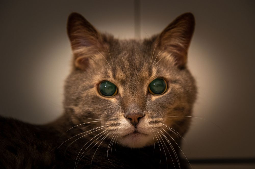 Photograph by Alexey Nikitin