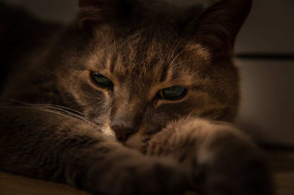 Photograph by Alexey Nikitin