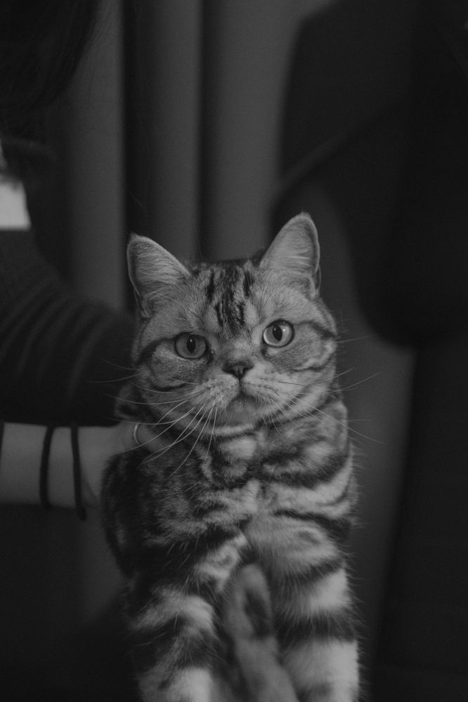 Луна