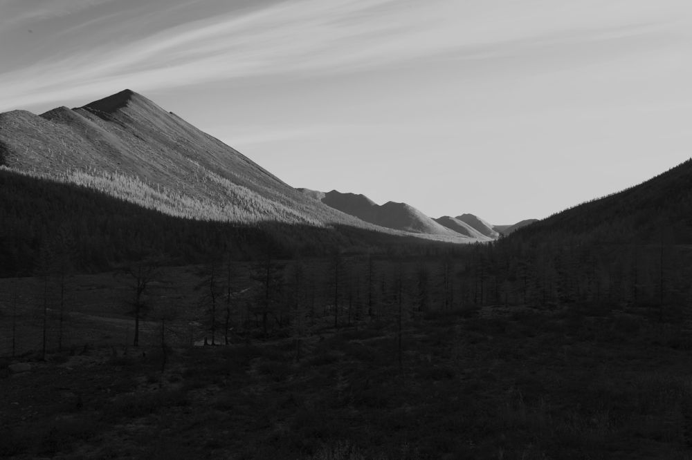 Свет и тень.