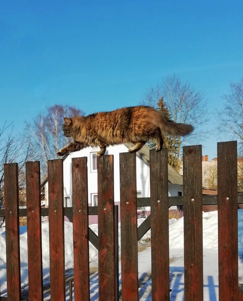 Фотография автора Альбина Хвастунова