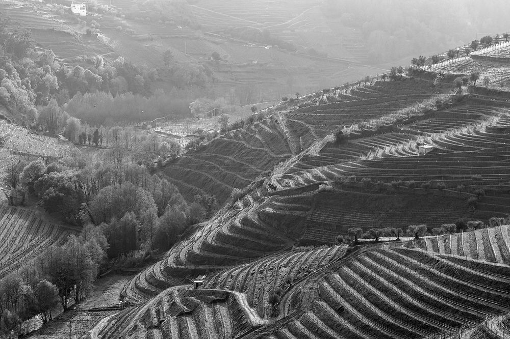 Douro Valley, Portugal