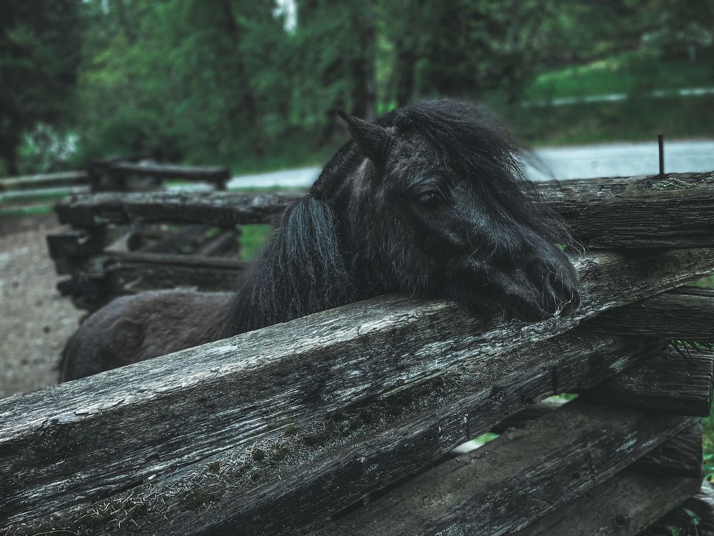 Photograph by Natalia Everatt