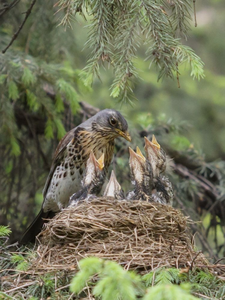 Photograph by Рыбаков Руслан