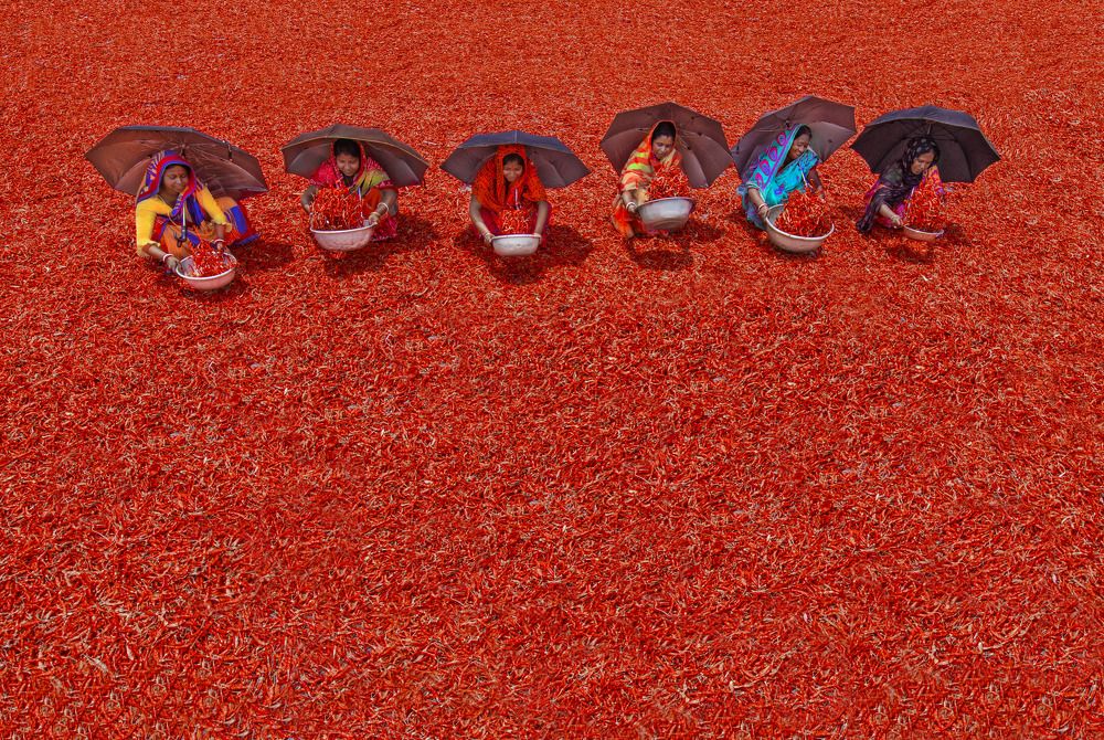 Photograph by Shampa Bhowmik