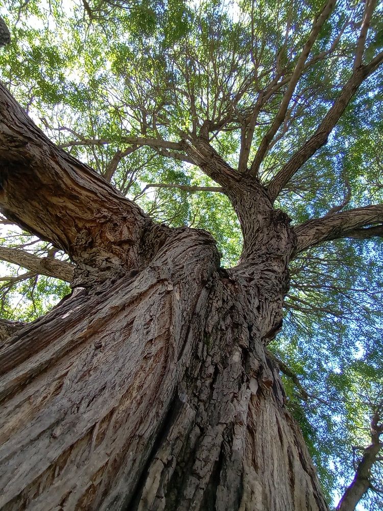 Photograph by Курочкина Диана