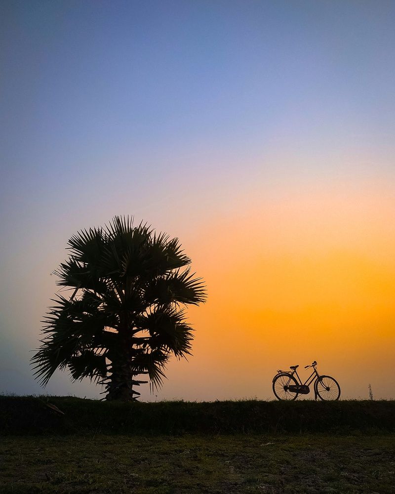 Beauty of evening