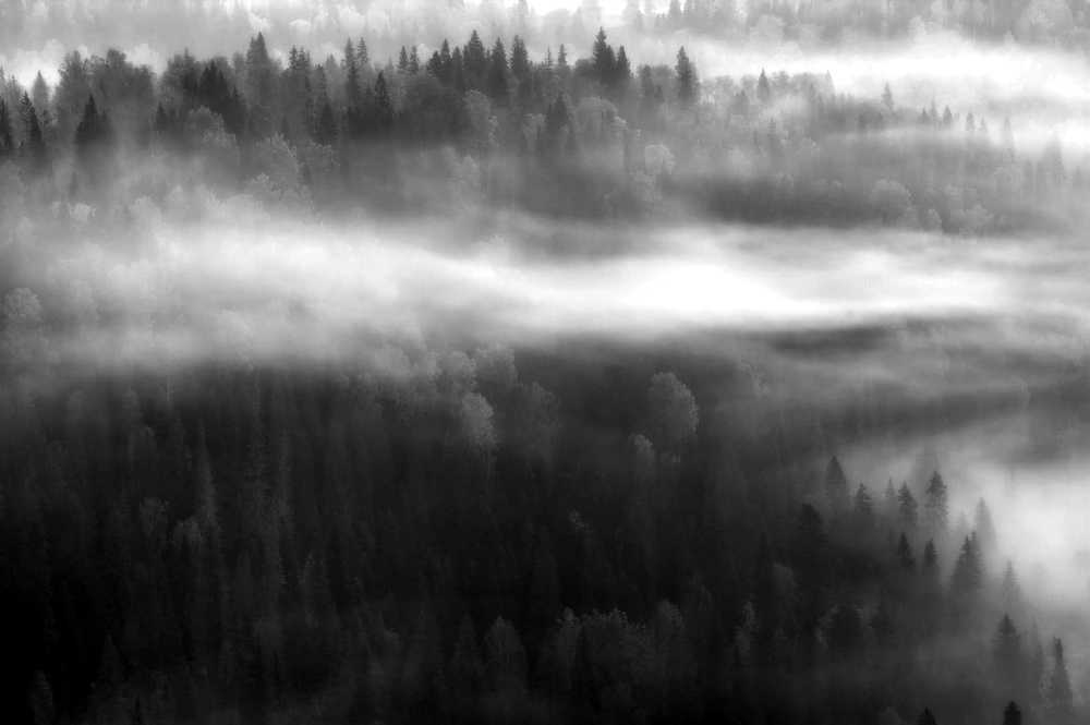 "Мгла наступает"