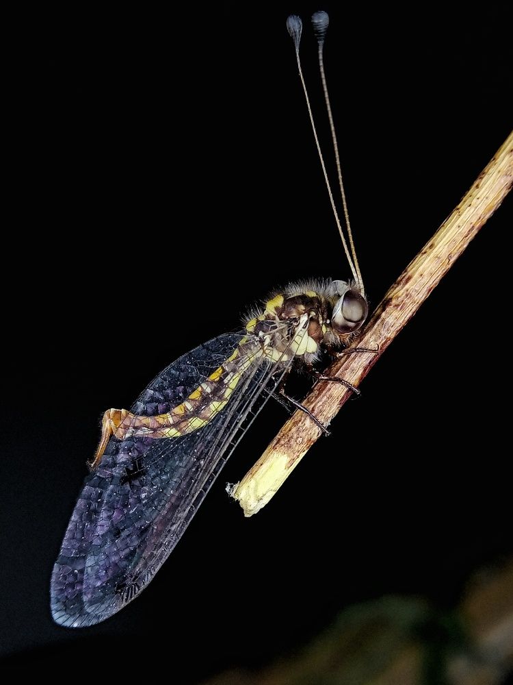 Photograph by Ajay rana