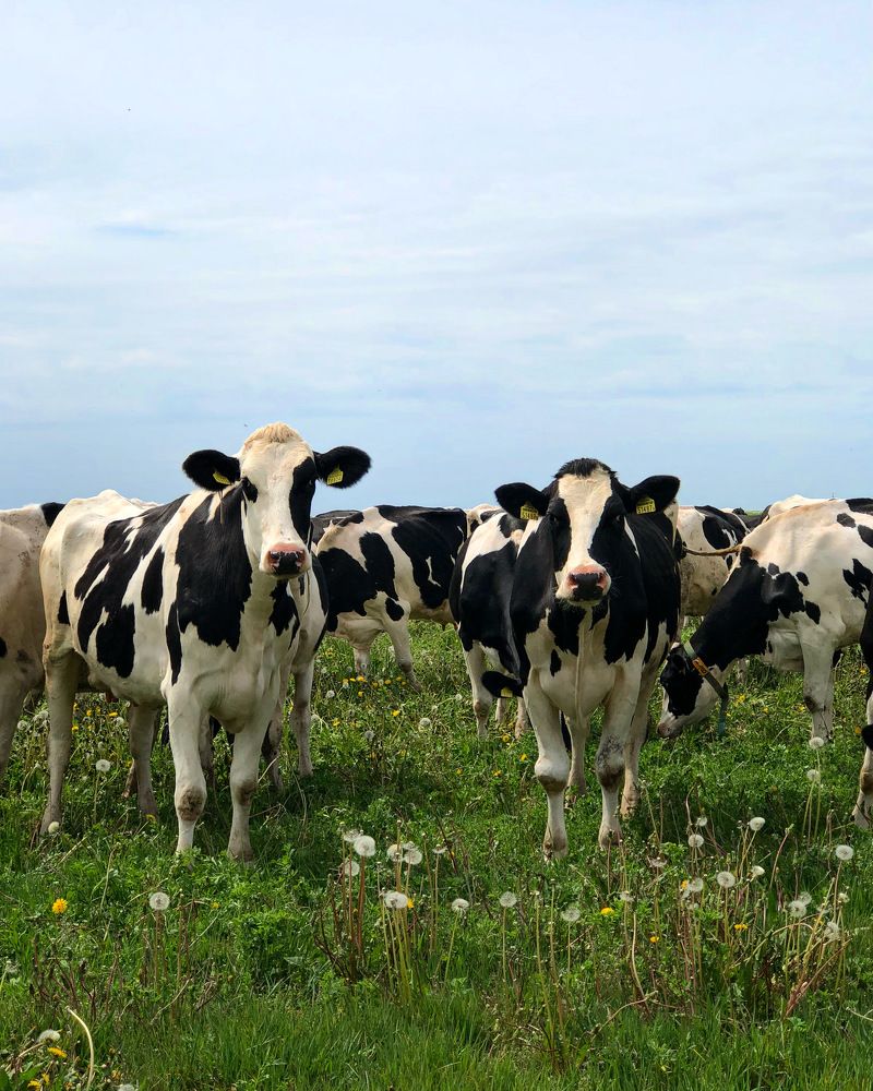 Photograph by Лариса Акинчиц