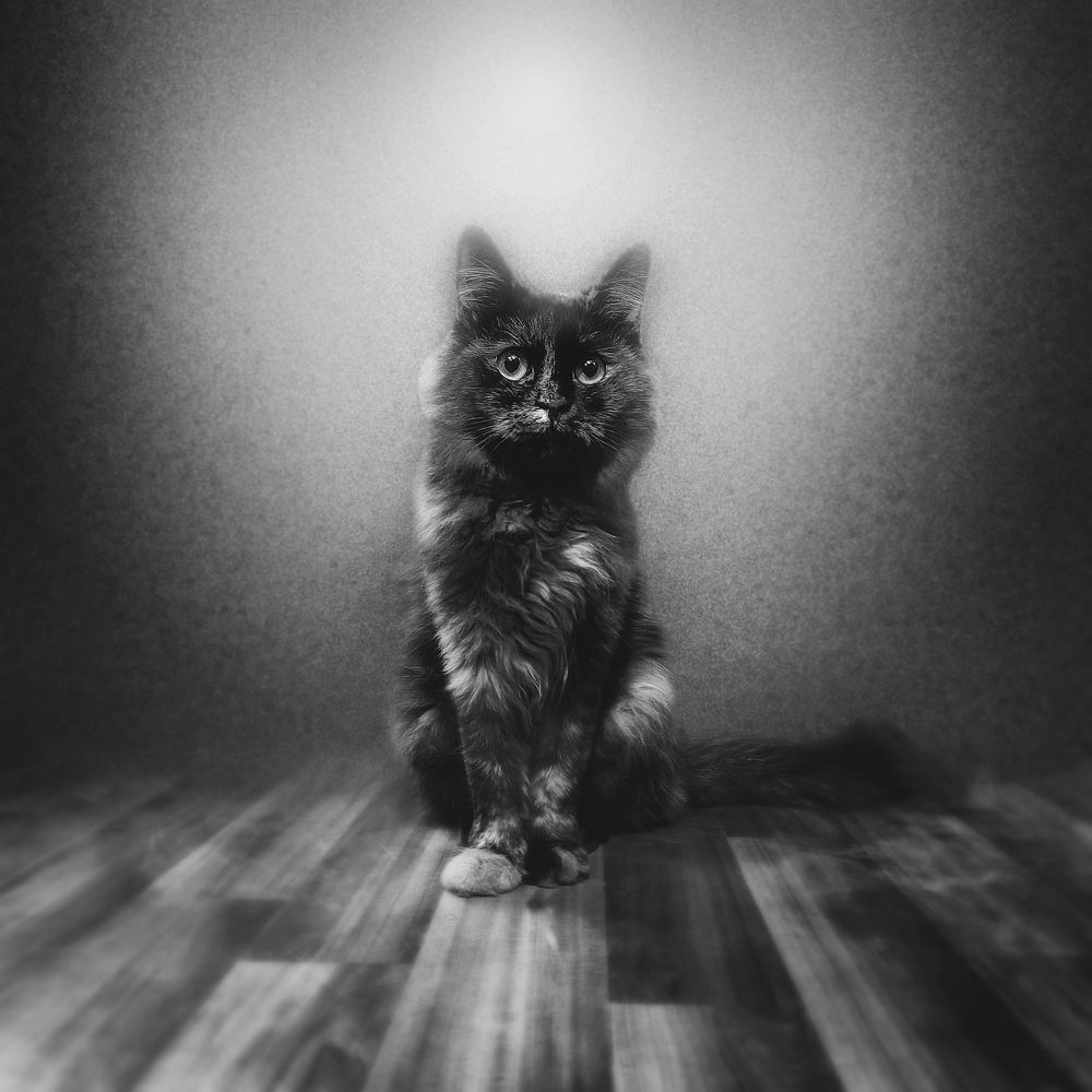 Photograph by Kolli Imed