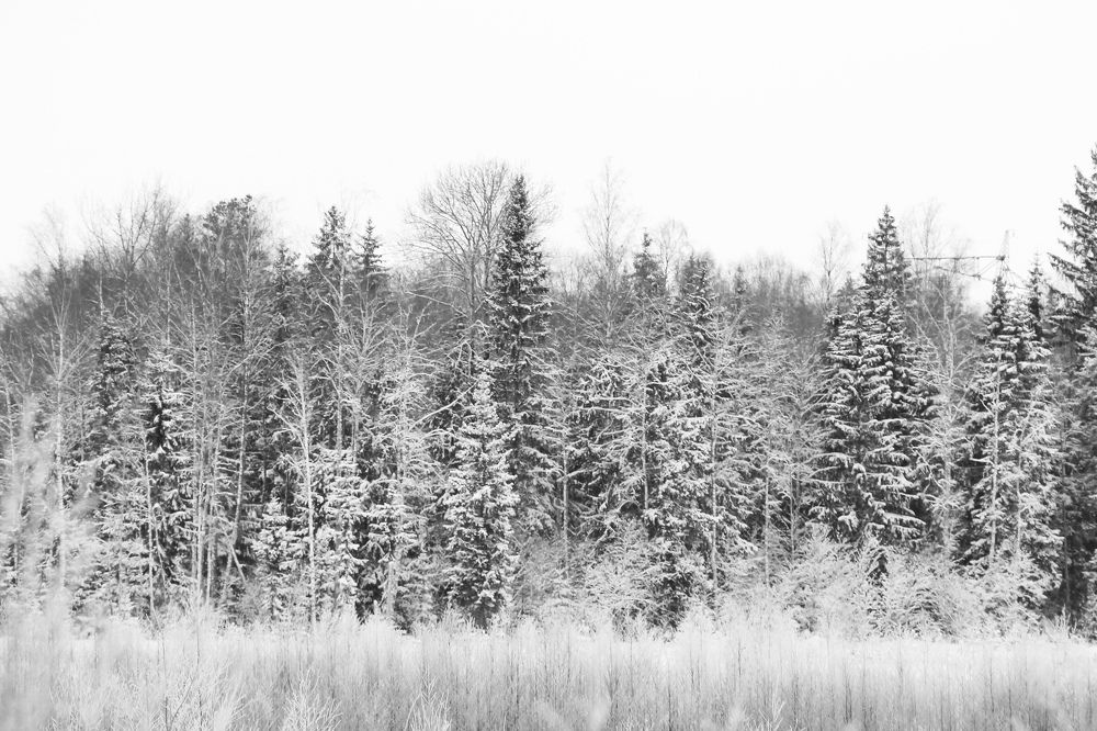 Photograph by Марина Кравцова