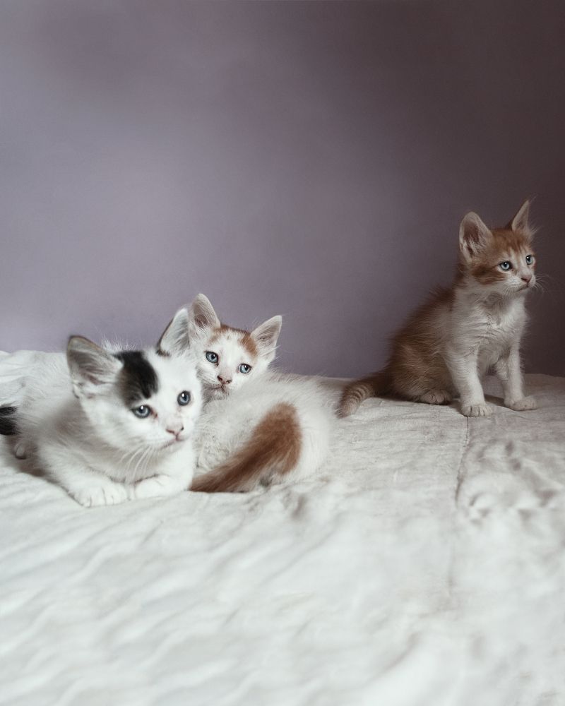 Photograph by Kolli Imed