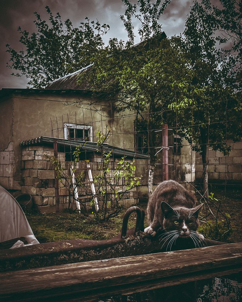 Photograph by Марина Тверитнева